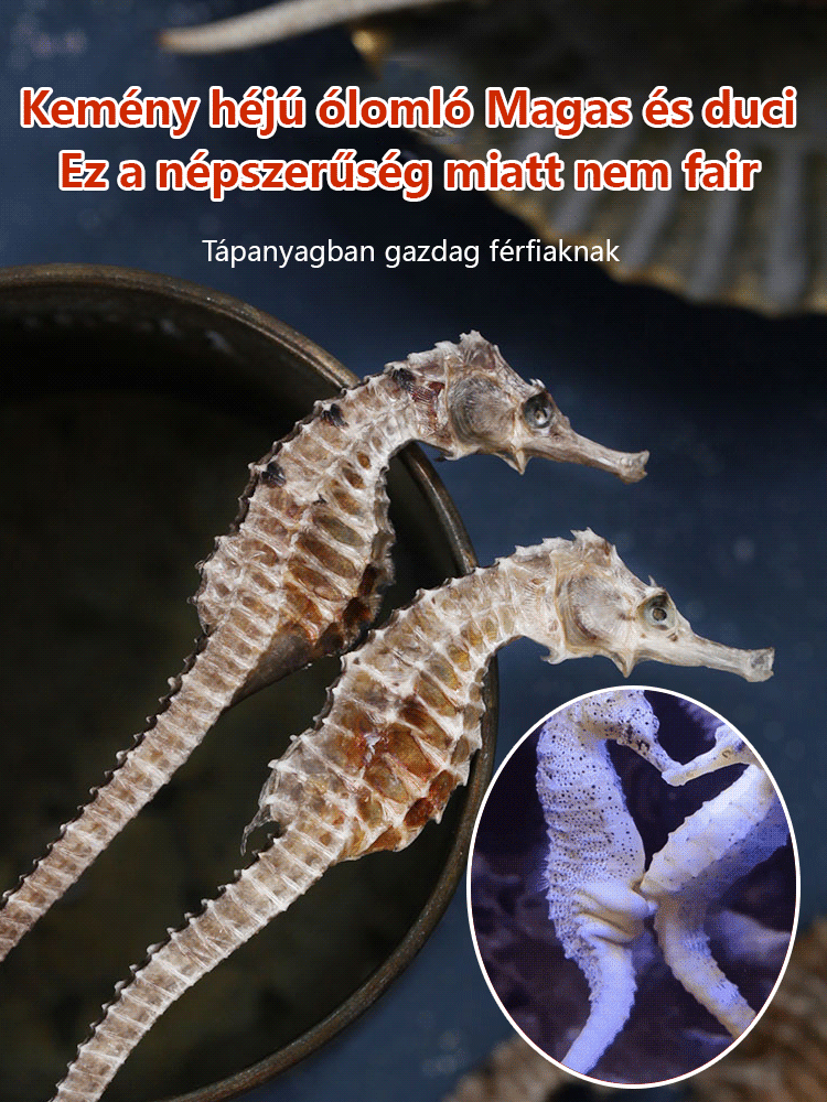 Erősítő kapszula csikóhalak számára