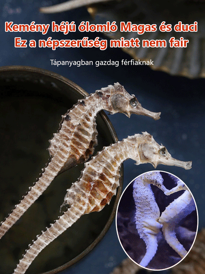 Erősítő kapszula csikóhalak számára