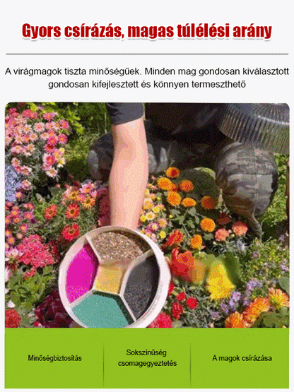 【Négyszezonos virágzás】Virágmező magkeverék 🌼