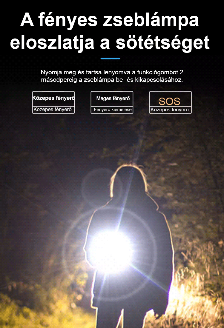 „Német Biztonsági Cég” toll zseblámpa