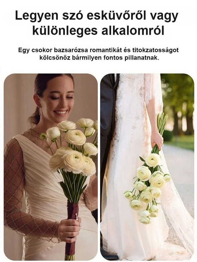 【Virágzó illat tíz mérföldre】 Többszínű boglárka hagymák